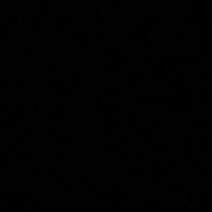 Meet your Posher, Marcella